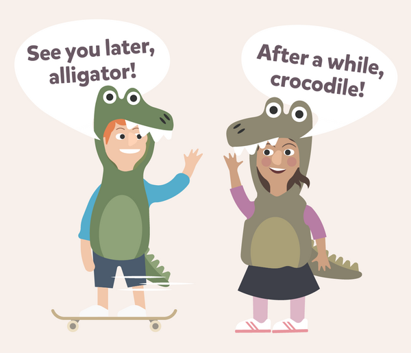 Alligator Crocodile