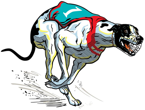greyhound  insima 2014 scanpix