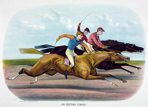 horse racing pixabay